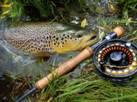 CONCOURS DE PÊCHE A L’AMÉRICAINE